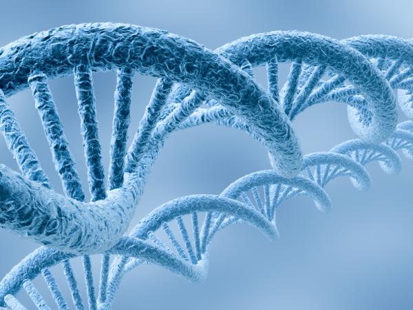 que es un Genoma ?